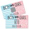 Big Dot of Happiness Boy Baby Gender Reveal - Team Boy or Girl Party Game Scratch Off Cards - Baby Shower Game - 22 Count
